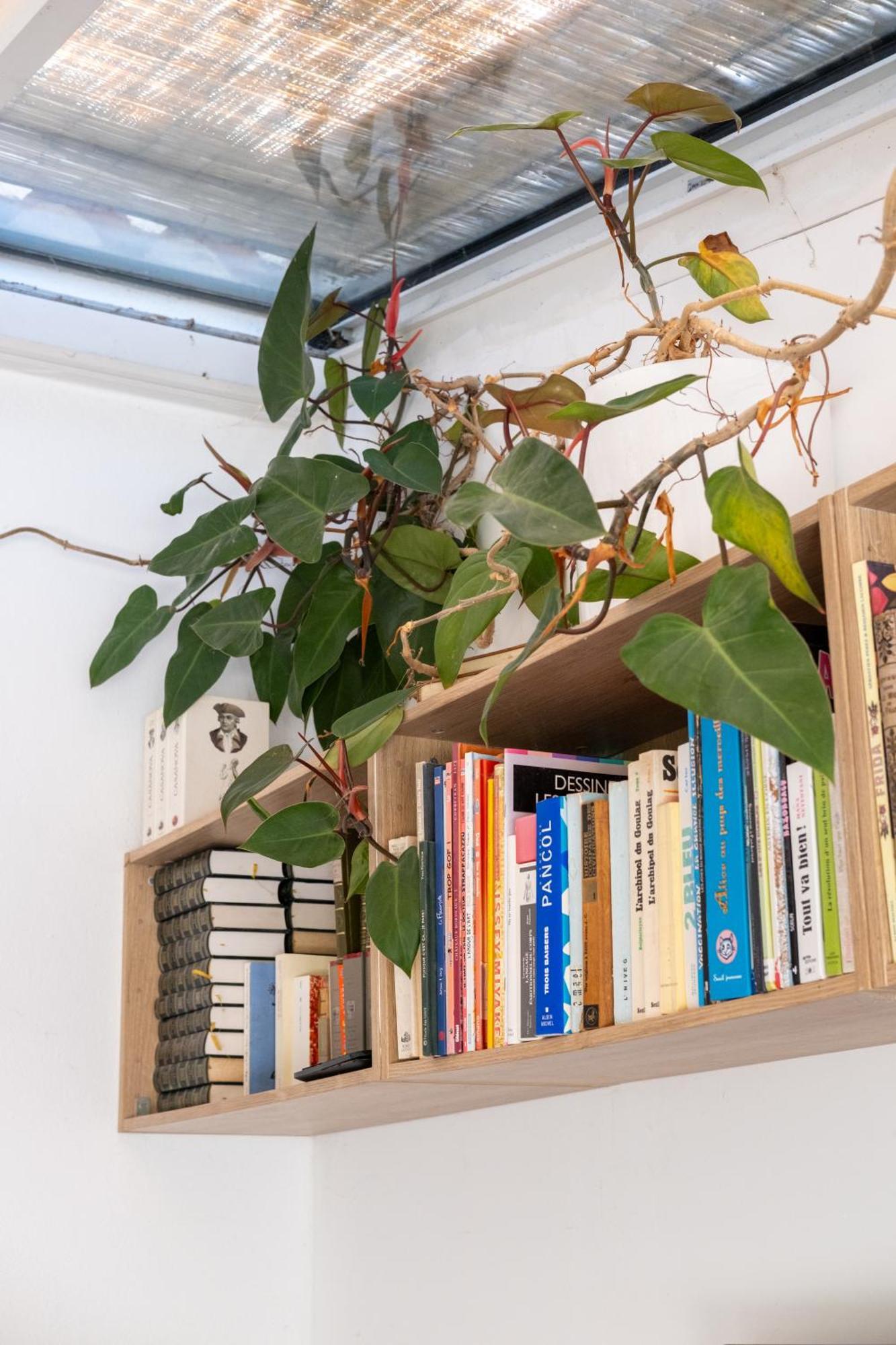 Casa Monica chambre indépendante avec jardin Cargèse Esterno foto
